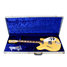 Rickenbacker 360/12 , Natural: Free image
