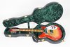 Rickenbacker 366/12 , Fireglo: Free image2