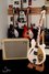 Rickenbacker 360/6 , Snowglo: Free image