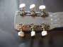 Rickenbacker NS/Post War/6 LapSteel, Gray: Headstock - Rear