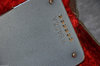 Rickenbacker 100/6 LapSteel, Gray: Free image2