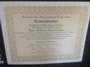 Rickenbacker 370/12 RM, Mapleglo: Free image2