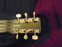 Rickenbacker NS/Post War/6 LapSteel, Gray: Headstock - Rear