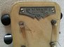 Rickenbacker 59/6 LapSteel, Cream: Close up - Free