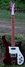 Rickenbacker 480/6 , Burgundy: Full Instrument - Front