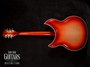 Rickenbacker 381/12 V69, Fireglo: Full Instrument - Rear