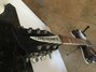 Rickenbacker 360/12 , Jetglo: Free image