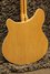 Feb 1995 Rickenbacker 360/12 , Mapleglo: Body - Rear