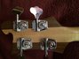 Rickenbacker 4003/4 , Mapleglo: Headstock - Rear
