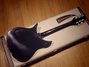 Rickenbacker 325/6 V63, Jetglo: Full Instrument - Rear
