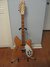 Rickenbacker 360/12 VP, Mapleglo: Full Instrument - Front