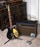 Rickenbacker 660/12 , Jetglo: Free image
