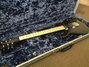 Rickenbacker 650/6 Colorado, Jetglo: Free image2
