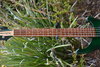 Rickenbacker 4004/5 Cii, Trans Green: Neck - Front