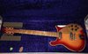 Rickenbacker 660/12 TP, Fireglo: Full Instrument - Front