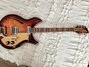 Rickenbacker 381/6 V69, Fireglo: Full Instrument - Front