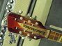 Rickenbacker 660/12 TP, Fireglo: Headstock