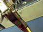 Rickenbacker 660/12 TP, Fireglo: Free image2