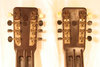 Rickenbacker D16/2 X 8 Doubleneck, Copper: Headstock - Rear