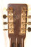 Rickenbacker D16/2 X 8 Doubleneck, Copper: Close up - Free