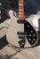 Rickenbacker 620/6 BT, Desert Gold: Body - Front