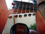 Rickenbacker 660/12 TP, Fireglo: Free image