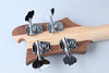 Rickenbacker 4003/4 , Natural Walnut: Headstock - Rear