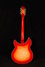 Rickenbacker 1993/12 Plus, Fireglo: Full Instrument - Rear