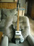 Jan 1980 Rickenbacker 4001/4 FL, Jetglo: Full Instrument - Front