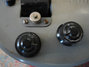 Rickenbacker 59/6 LapSteel, Gray: Free image