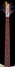 Rickenbacker 4001/4 V63, Mapleglo: Neck - Front