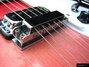 Rickenbacker 330/6 , Fireglo: Free image
