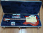 Rickenbacker 360/12 , Fireglo: Full Instrument - Front
