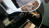 Rickenbacker 4001/4 Mod, Jetglo: Neck - Rear