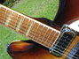 Rickenbacker 370/12 , Walnut: Close up - Free2