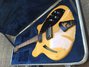 Rickenbacker 360/6 BH BT, Mapleglo: Free image