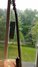 Rickenbacker 4001/4 , Burgundy: Neck - Front