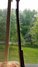 Rickenbacker 4001/4 , Burgundy: Neck - Rear