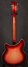 Rickenbacker 360/12 , Fireglo: Full Instrument - Rear