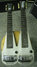Rickenbacker DW16/2 X 8 Doubleneck, Silver: Full Instrument - Front