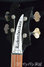 Rickenbacker 4003/4 S, Jetglo: Headstock