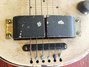 Rickenbacker 59/6 LapSteel, Cream: Close up - Free