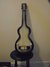 Rickenbacker 59/6 LapSteel, Gray: Full Instrument - Front