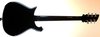 Rickenbacker 650/6 Colorado, Jetglo: Full Instrument - Rear