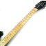 Rickenbacker 650/6 Colorado, Jetglo: Neck - Front