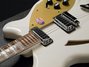 Rickenbacker 360/6 , Snowglo: Free image