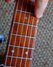 Rickenbacker 330/6 , Fireglo: Neck - Front