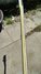 Rickenbacker 4001/4 BT, White: Neck - Rear
