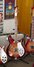 Rickenbacker 381/6 V69, Fireglo: Full Instrument - Front