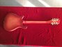 Rickenbacker 450/12 , Fireglo: Full Instrument - Rear